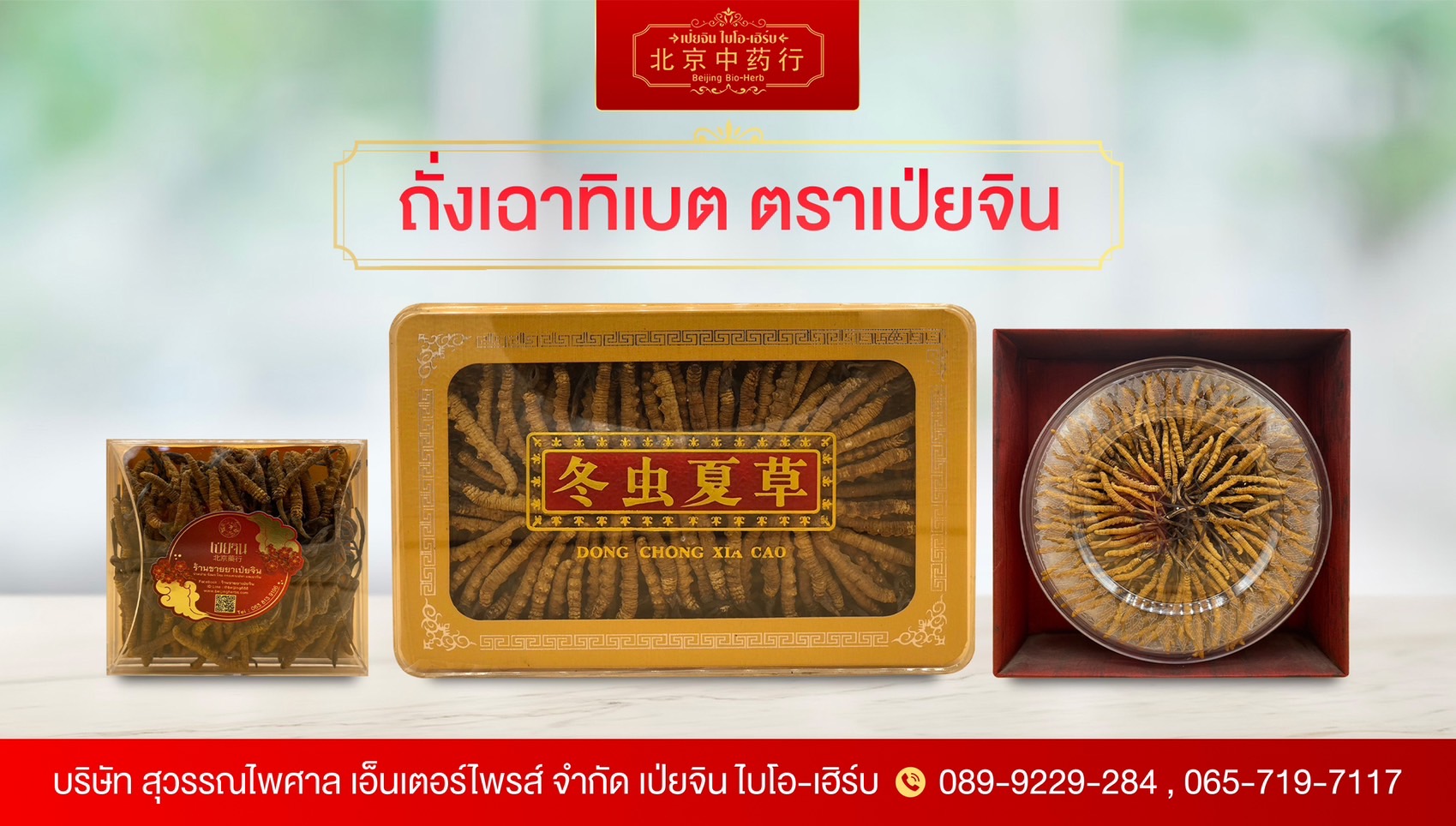 ถั่งเฉาทิเบต ตราเป่ยจิน